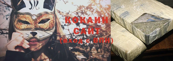 гидра Алексин