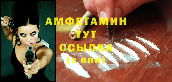 гидра Алексин