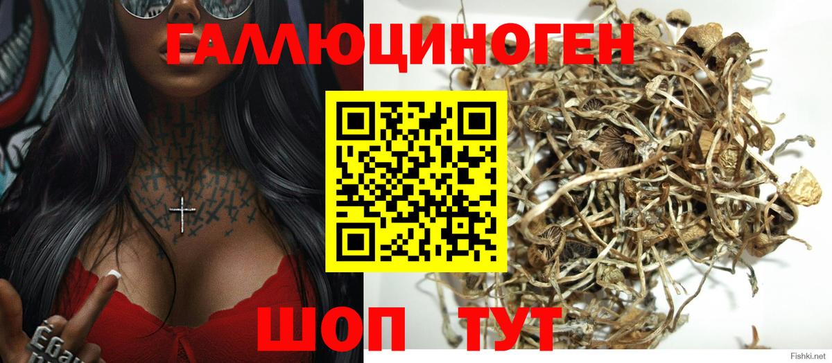 Югорск  Псилоцибиновые грибы мухоморы  Галлюциногенные грибы MAGIC MUSHROOMS  Вход с VPN 