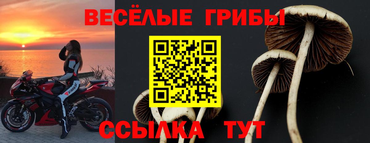 Псилоцибиновые грибы Magic Shrooms Югорск